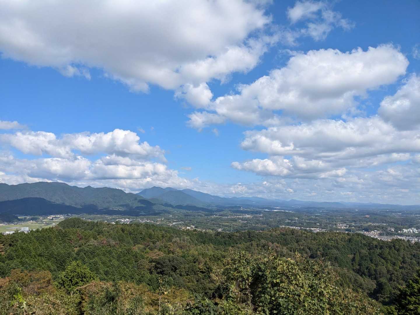 那岐山の、アケボノソウ観に行きたい