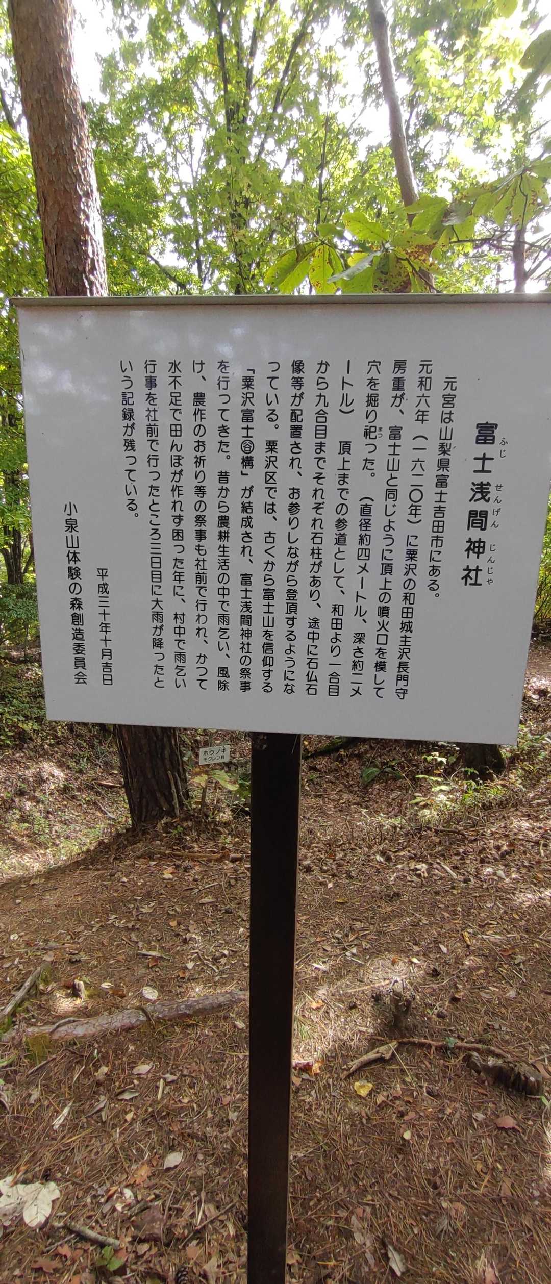 粟沢口-小泉山 往復コースの写真