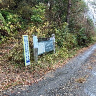 宮苅峠です　ここでトレランの方一人に抜かれましたが　それが全行程中唯一の人との出会いでした