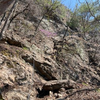 ここから100m鎖場登ります。⛓️