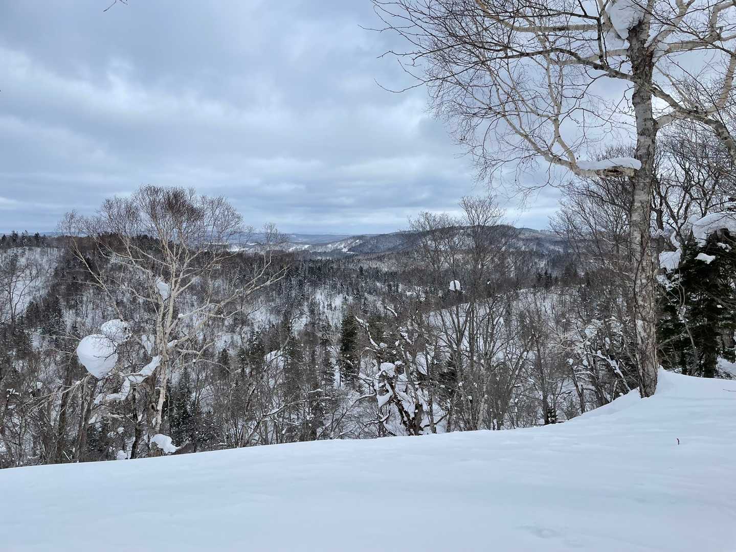 目崎山の写真