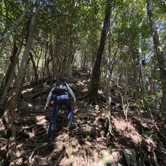 青螺山に向かう急登に😱
2人とも足がなかなか上がらない 進まない💦
🥵🥵