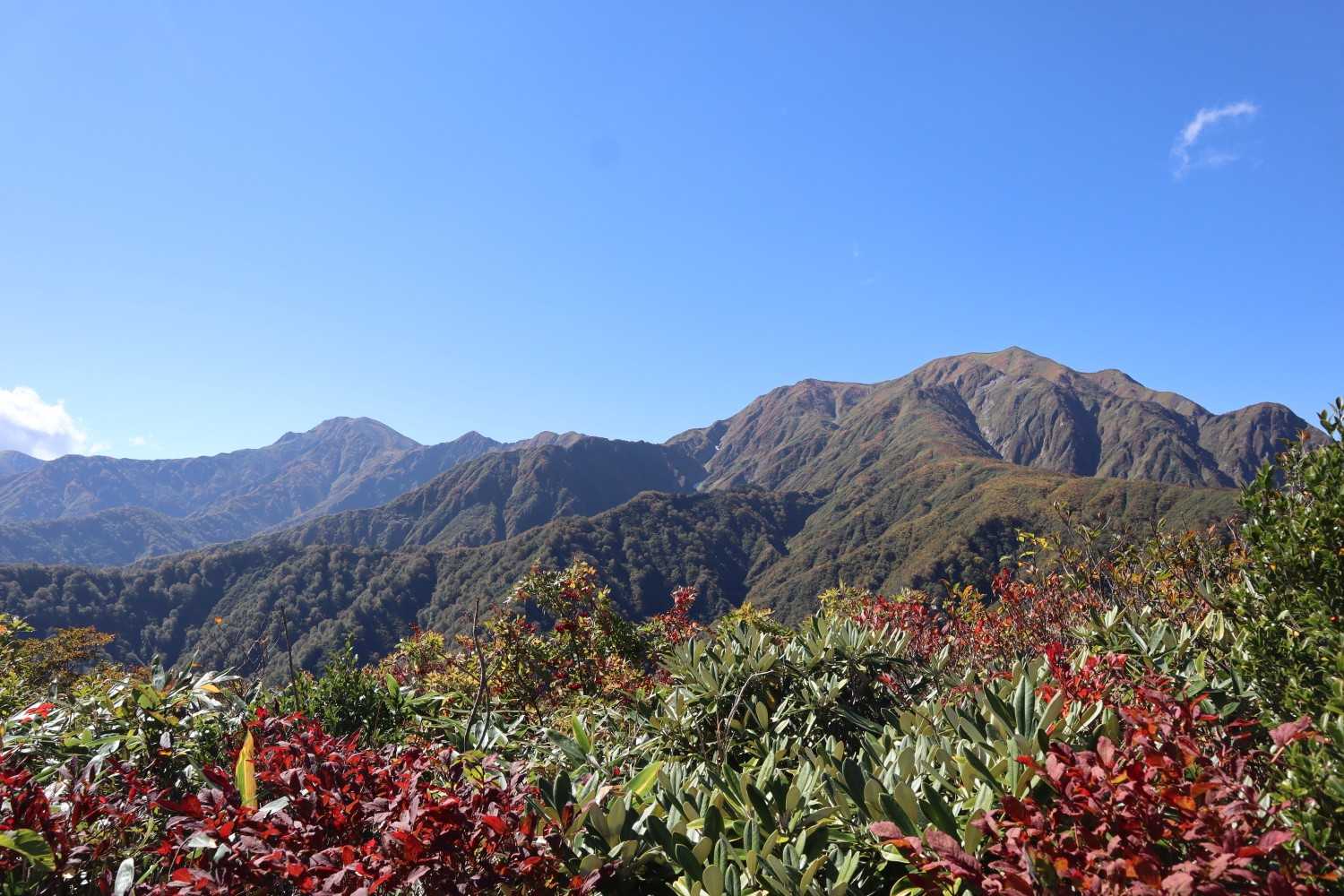 中ノ岳、越後駒
