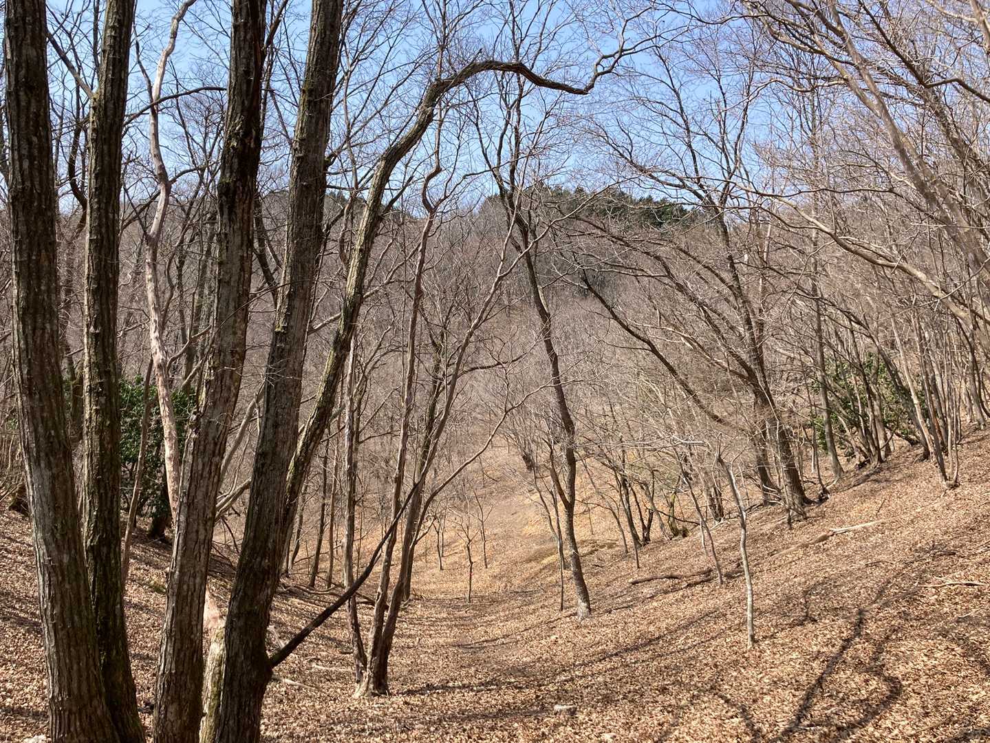 またこの景色を歩いて。
ちょっと長くて飽きたっていうてます。距離は短いけどなんだか長く感じるこのコース。