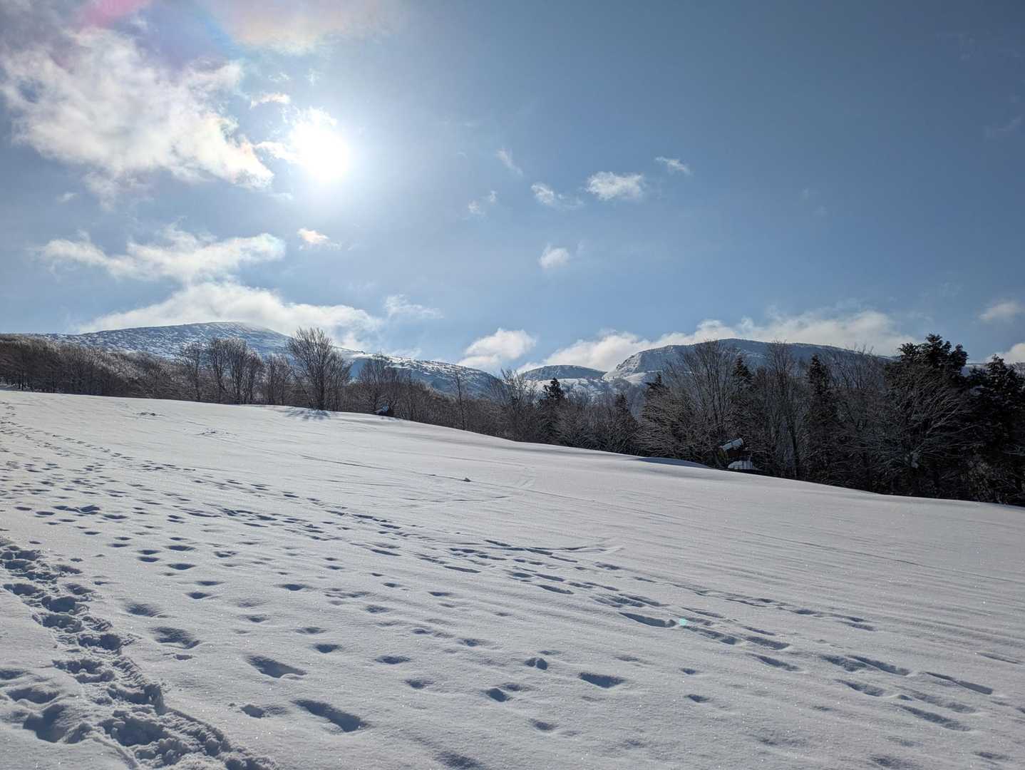 休業？閉鎖？
箕輪スキー場のゲレンデ登り
天気予報に合わせ
ゆっくりのんびり歩きます(ง ˙˙ )ว
左に見えるのが箕輪山