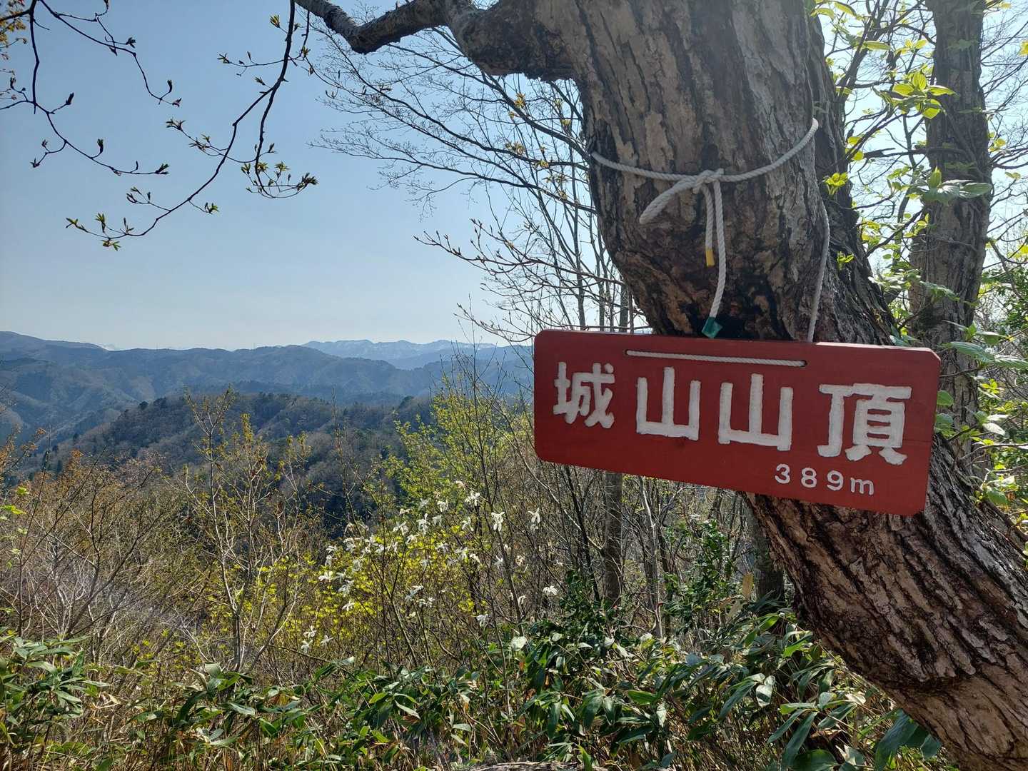 城山🙌