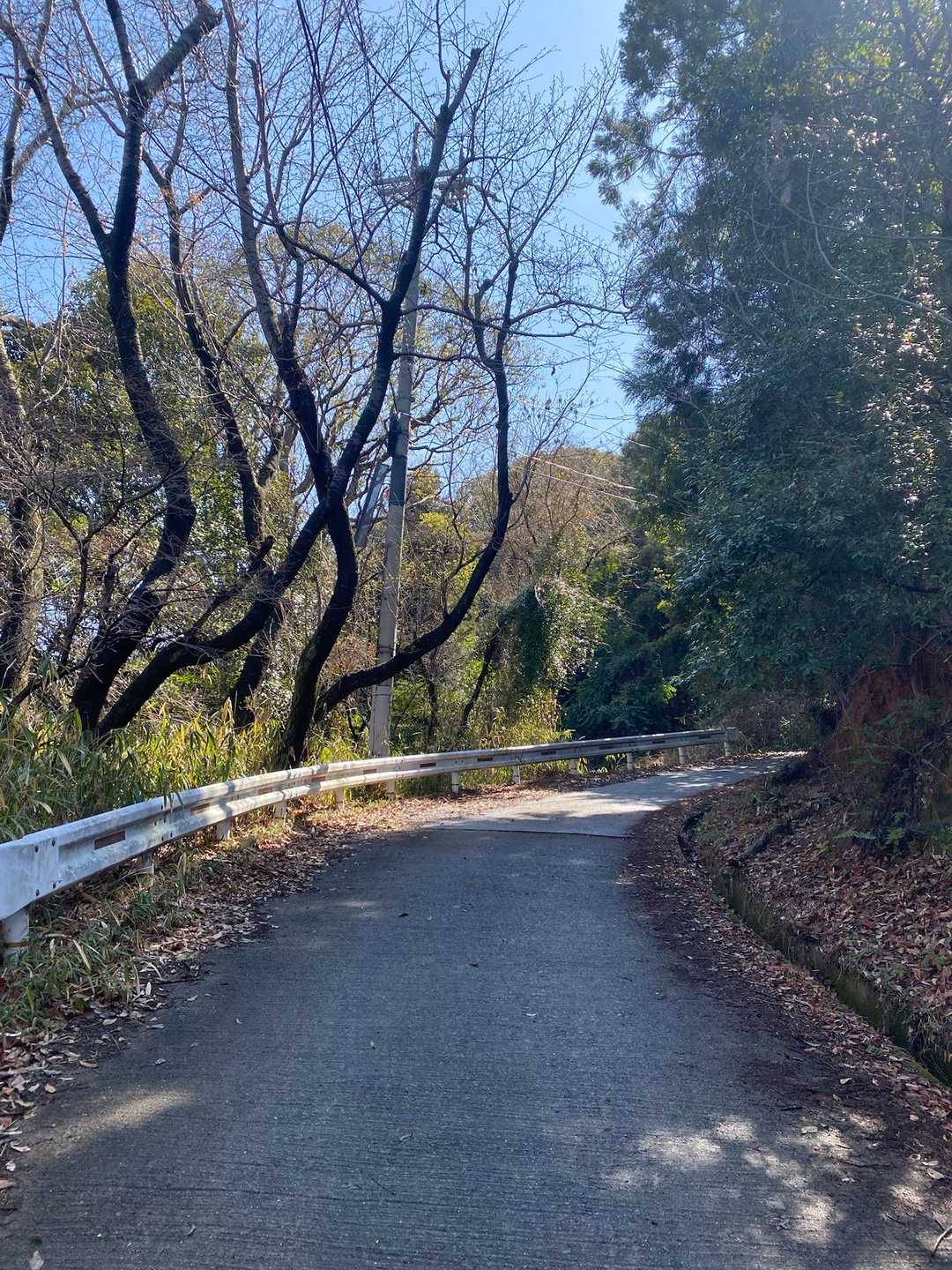 ・ルートは特に説明なし
多少の「急な坂」はあるが、特に問題なし
ほぼ、すべてが「コンクリ道」👍