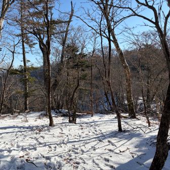 雪の脊梁は初めて☃️