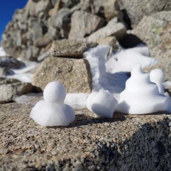 バリウム検査後の💩