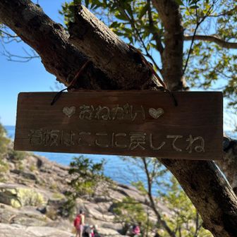 岩に降りる手前のこの木にプレートがかかっています