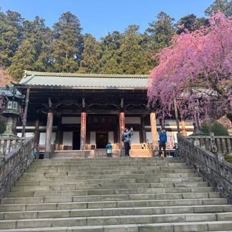 見頃を迎えています🎶

お参りして明神ヶ岳へむかいましょう🙏