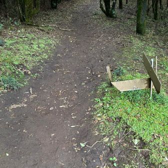 大夫遅れて分岐点を最乗寺に下ります
