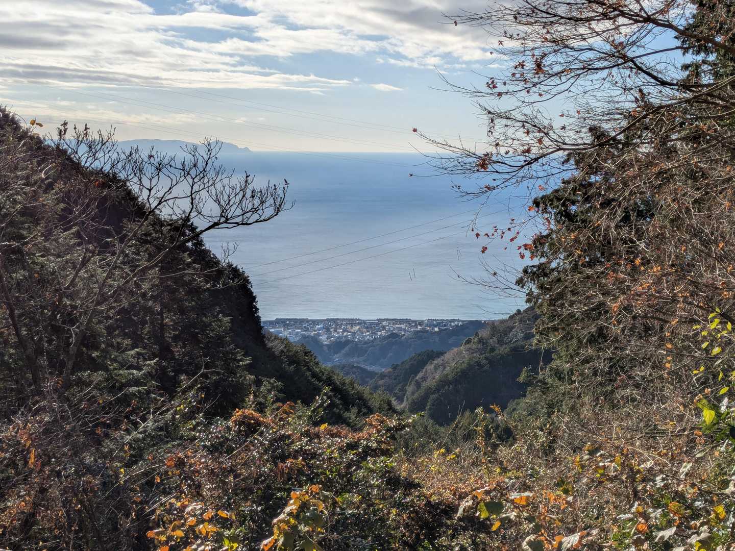 大平山 往復コースの写真