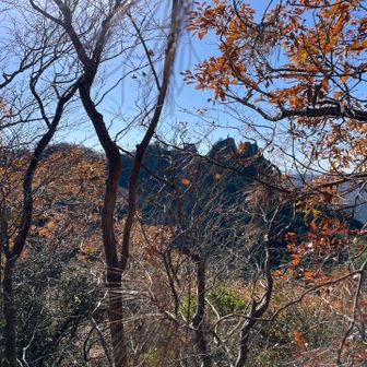 万里の長城が見える！