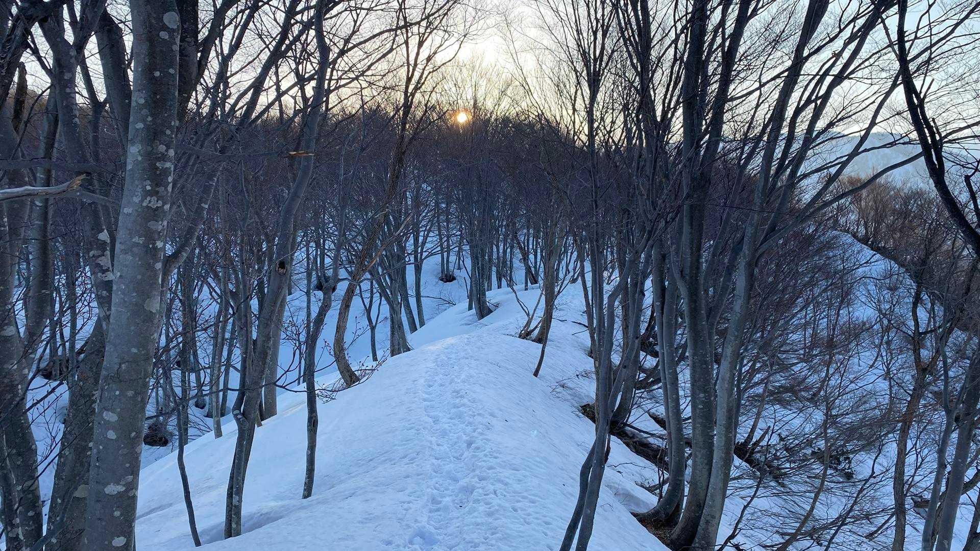 風は弱いので寒くはない
やっぱり残雪期はサイコーだわ