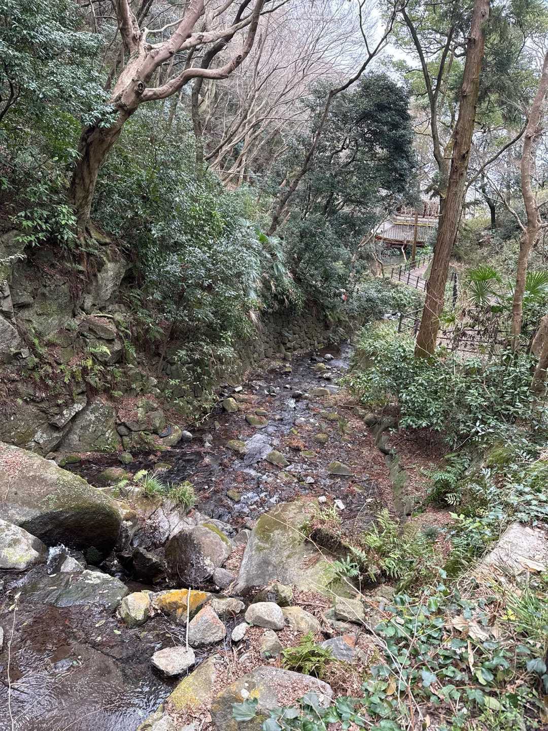 タタラ山-生駒山-鬼取山-暗峠-神津嶽 周回コースの写真
