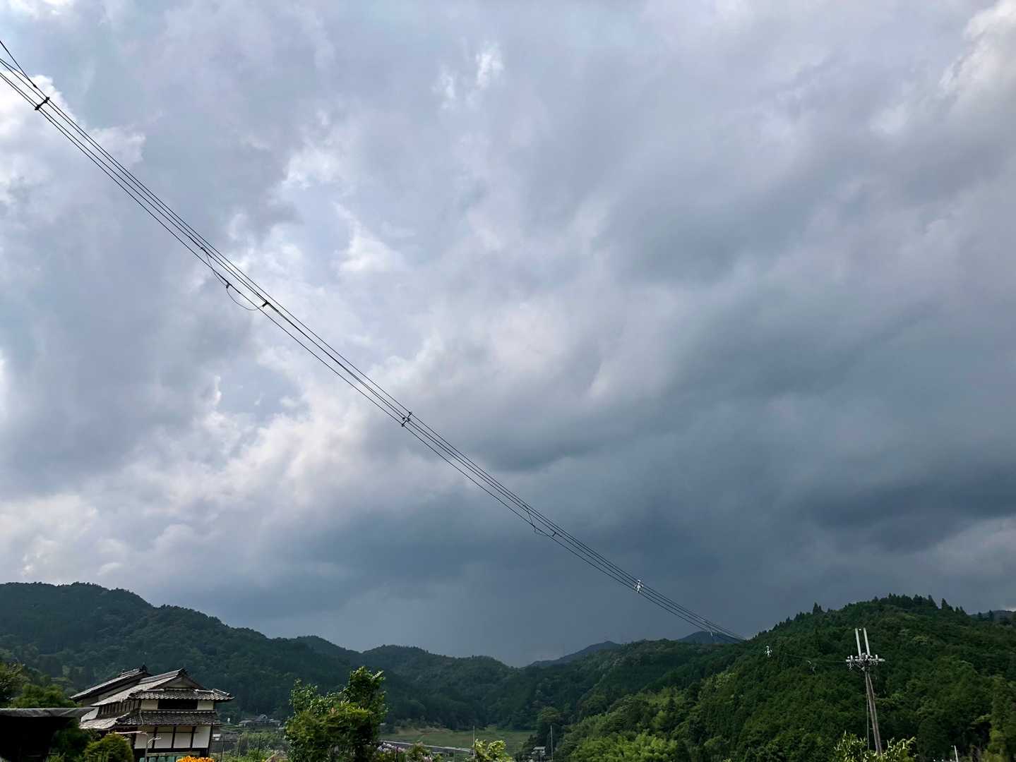 とうとう雨☂️が降り出してきました。雷雲⚡️が近づいてきたので退散しま〜す🏃‍♂️💨
今日は過去最"遅"のぶらりだったのではないでしょうか😅　いや〜今日は良いガス抜きができました😌
最後までご覧頂き、ありがとうございました🙇‍♀️⤵︎
