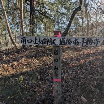 権田山の山頂標識