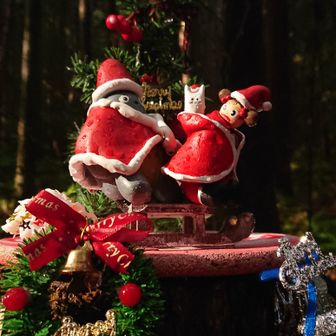 いつもステキです♥️
いつも楽しみにしてます🎵