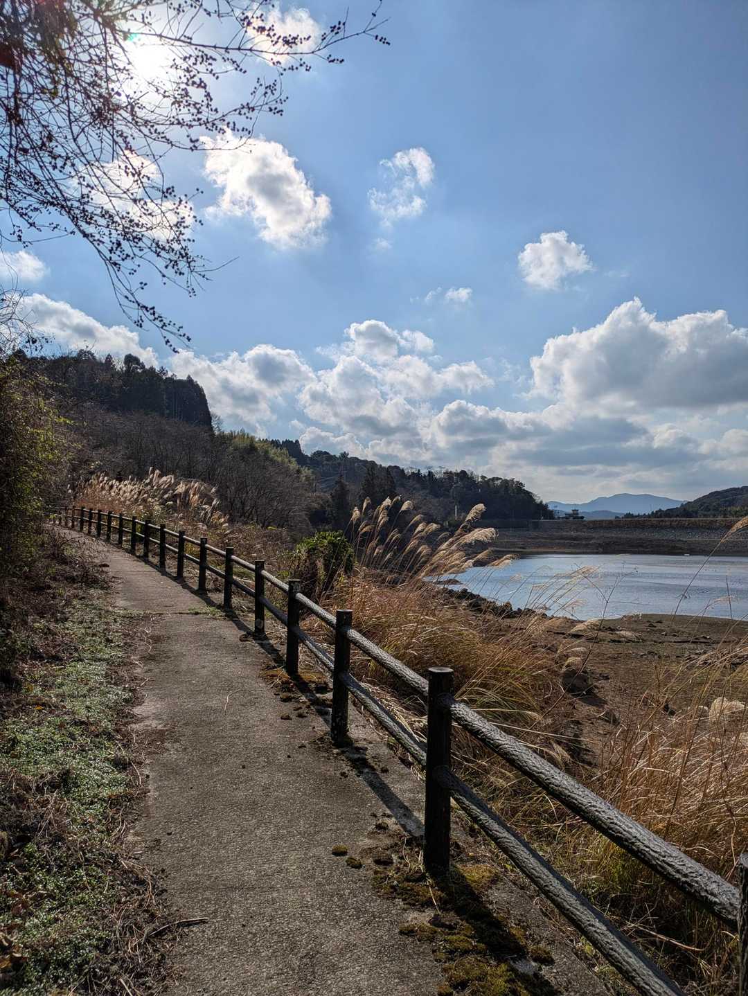 ダムに戻ってきました～