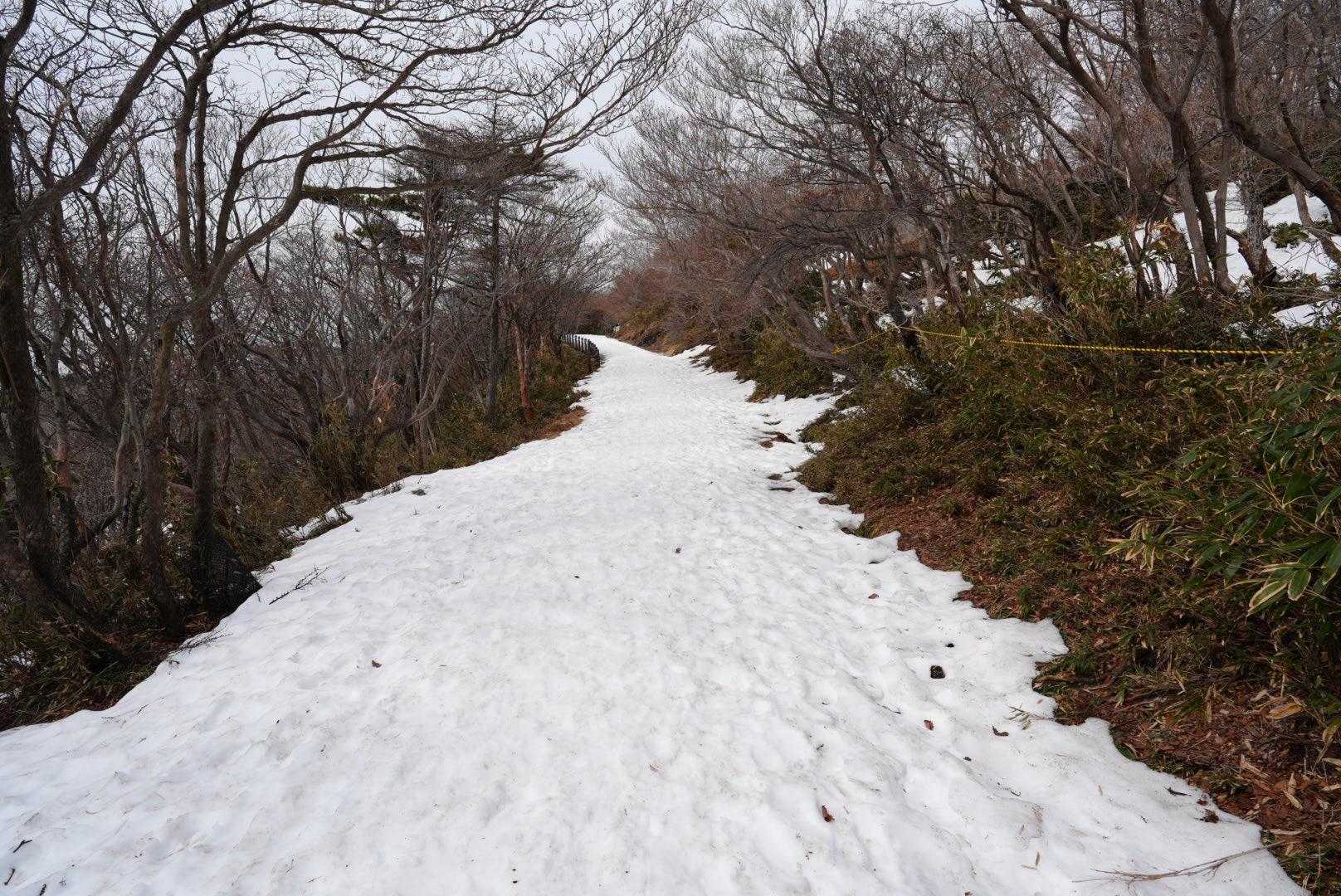 山上公園駅発着｜ロープウェイ利用の御在所山 往復コースの写真