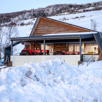 牧場　上部まで降りてきました。