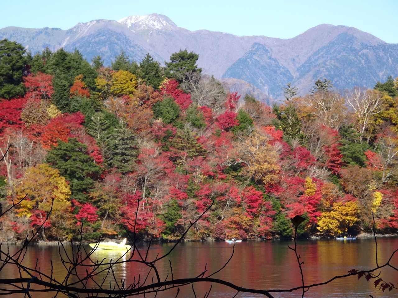 半月峠-半月山 往復コースの写真