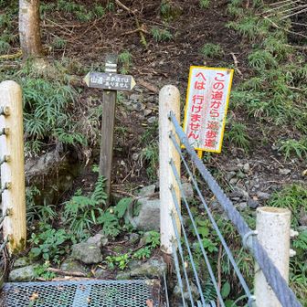 やませみ橋は行き止まり
