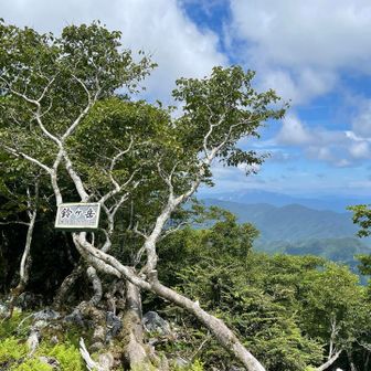 鈴ヶ岳山頂から伊吹山