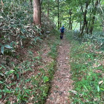 登山道が綺麗🤩

さすが日本百名山⛰️✨


memo
最初から登り連続😅
その後下り結構下る､､
