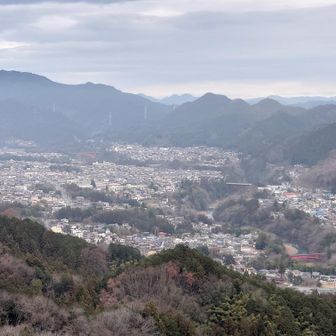 山から見る街ってステキです