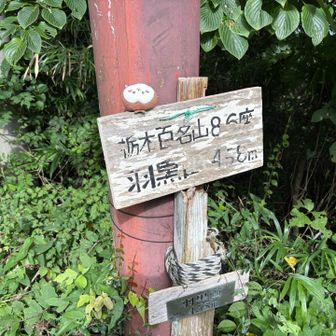 平気な顔して登ってみたい(´･Д･)✋ﾑﾘﾃﾞｽ