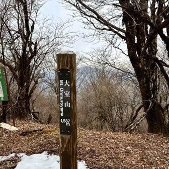 大室山・畦ヶ丸・菰釣山 大室山1587m