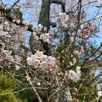 いい季節に来れました♪