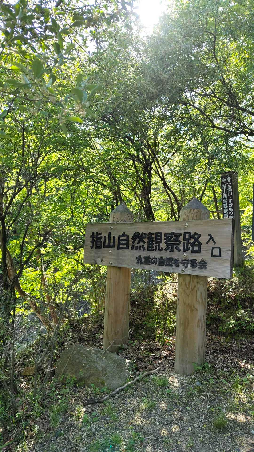 今日はこっちから
