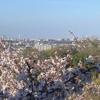 枡形山展望台その2