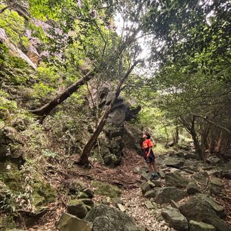 下りで突然現れる登りがきつい💦