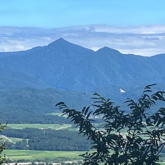 この山は？
烏帽子岩？
鷲ヶ巣山？
違うかも…判らん。