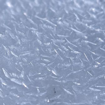 雪面に魚のうろこ状の雪の結晶❄🐟