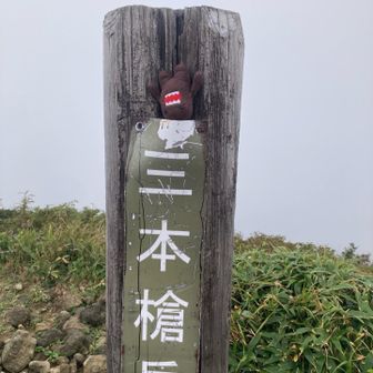 『ねいなえ見もにんな🤎』
でもそれが落ち着く
いつもの😇