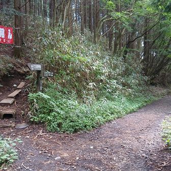 ようやく登山口。乙女駐車場から乙女峠まで1時間強の道のり。
山火事用心よく見るな。山でも休憩中は喫煙する人なんで本当、注意します。