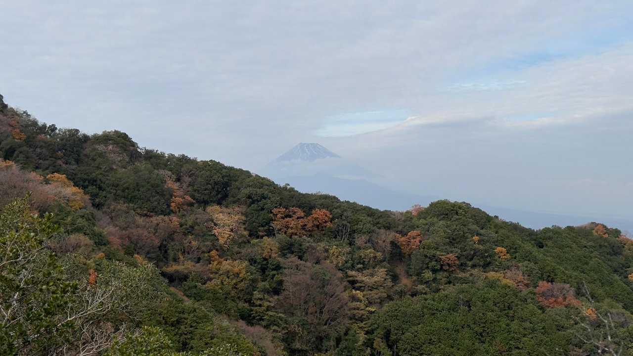 沼津アルプス（香貫山・横山・徳倉山・鷲頭山・大平山） の写真 42