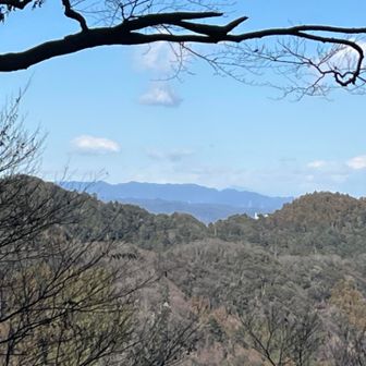 4号路に少しだけ入ったところ

日光方面　
高いお山が少しだけ顔を出している

何山かな。