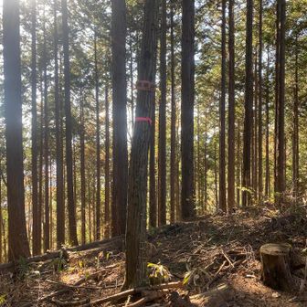 続いて南郷山に初登頂！11回登ったことになってたのでスッキリ！