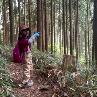 もうすぐ文殊中尾根に合流⛰️

緑が🌱綺麗🤩と言ってます⭐️