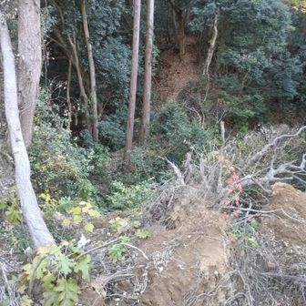 上がってみると、空見山へと続く道が見えます。
こちらからは危ないです。