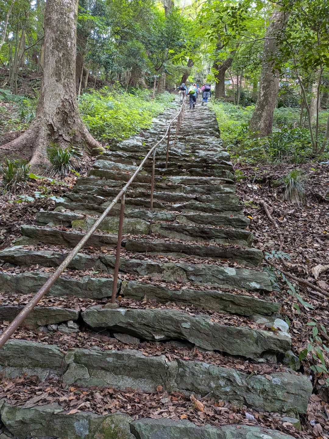 飯盛神社への長い、長い石段を登って行きます🚶