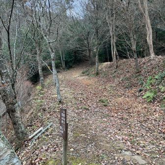 再び小田山方面に。