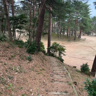 そのまま帰るのもアレなので奥卯辰山へ