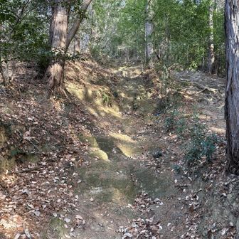 こんな感じで続きます